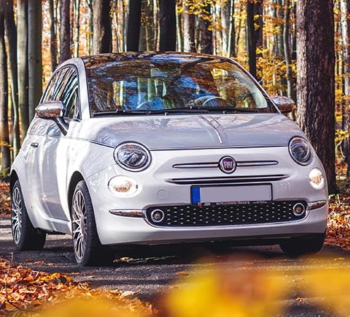 vehicle-on-floor-fiat